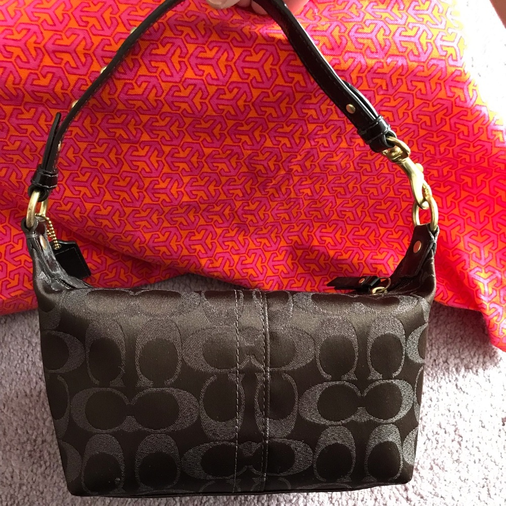 Small Coach purse (great condition)